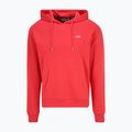 Ανδρικό φούτερ FILA Bengel Regular Hoody cayenne 5