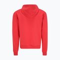 Ανδρικό φούτερ FILA Bengel Regular Hoody cayenne 6