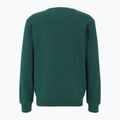 Ανδρικό φούτερ FILA Ligonier Crew Sweat forest biome 2