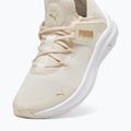 Γυναικεία παπούτσια PUMA Softride One4All Femme alpine snow/puma white/gold 12