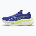 Ανδρικά παπούτσια τρεξίματος PUMA MagMax Nitro lapis lazuli/nitro blue 9