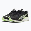 Ανδρικά παπούτσια για τρέξιμο PUMA Velocity Nitro 3 puma black/fizzy apple 8