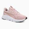 PUMA FlexFocus Lite Modern mauve mist/puma go παπούτσια για τρέξιμο