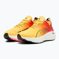 Ανδρικά παπούτσια για τρέξιμο PUMA ForeverRun Nitro Fade sun stream/sunset glow/puma white 8