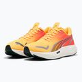 Ανδρικά παπούτσια για τρέξιμο PUMA Velocity Nitro 3 Fade sun stream/sunset glow/white 8