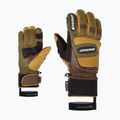 Ανδρικό γάντι σκι ZIENER Guard GTX + Gore Grip PR alpine dark/brown