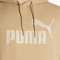 Ανδρικό φούτερ PUMA Essentials Big Logo Hoodie FL prairie tan 3