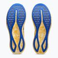 ASICS Noosa Tri 16 ανδρικά παπούτσια για τρέξιμο κίτρινο/μπλε χρώμα 6