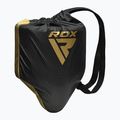 Σπασουάρ RDX L1 Mark Pro Mma Training Groin Guard Ce Certified golden 6