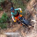 Ανδρικό ποδηλατικό σορτς Endura Singletrack Lite Short Std harvest 8