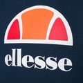 Ανδρικό φούτερ προπόνησης Ellesse Dahryl Oh Hoody navy 7