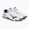 Ανδρικά παπούτσια βόλεϊ Mizuno Wave Voltage λευκό / μπλε κορδέλα / mp χρυσό 5