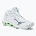 Γυναικεία παπούτσια βόλεϊ Mizuno Wave Voltage Mid white/glacial ridge/patina green