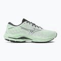 Ανδρικά αθλητικά παπούτσια τρεξίματος Mizuno Wave Inspire 20 γκρίζο νεφρίτη/μαύρο στρείδι 2