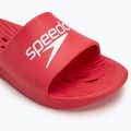 Ανδρικές παντόφλες Speedo Slide fed red 7