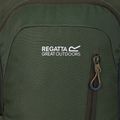 Σακίδιο πεζοπορίας REGATTA Highton V2 25 l dark khaki/four leaf clover 4