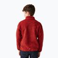 Παιδικό φούτερ REGATTA Junior Frankie Full Zip red ochre 3