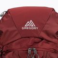 Gregory Baltoro MD 65 l trekking σακίδιο πλάτης καφέ 142440 3