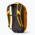 Σακίδιο πλάτης Gregory Nano 18 l hornet yellow 2