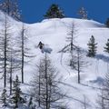 Κράνος σκι Bollé Mute μαύρο/λευκό ματ 2