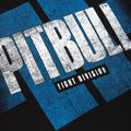 Ανδρικό T-shirt Pitbull West Coast Vale Tudo black 8