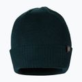 Ανδρικός χειμερινός σκούφος Pitbull West Coast Beanie Small Logo dark green 2