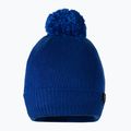 Ανδρικός χειμερινός σκούφος Pitbull West Coast Beanie Bubble Small Logo royal blue 2