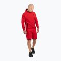 Ανδρικό φούτερ Pitbull West Coast Skylark Hooded Sweatshirt red 2