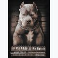 Ανδρική μπλούζα Pitbull West Coast Mugshot 2 black 8