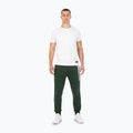 Ανδρικό παντελόνι Pitbull New Hilltop Jogging dark green 2