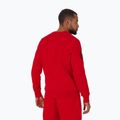 Ανδρικό φούτερ Pitbull Sherwood Crewneck red 3