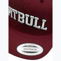 Καπέλο μπέιζμπολ Pitbull West Coast Snapback Pitbull YP Classic Premium burgundy 4