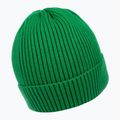 Ανδρικός χειμερινός σκούφος Pitbull Beanie Dock green 2