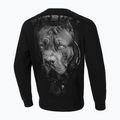 Ανδρικό φούτερ Pitbull West Coast Crewneck Sweatshirt Born In 1989 μαύρο 2