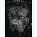 Ανδρικό φούτερ Pitbull Hooded Born In 1989 black 4