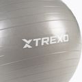 TREXO Gymball TXO-B4Z007-GY 55 cm γκρι 6