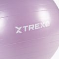 Γυμναστική μπάλα TREXO TXO-B4Z008-VT 65 cm μοβ 5