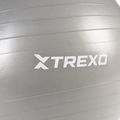 TREXO Gymball TXO-B4Z008-GY 65 cm γκρι 5