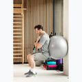 TREXO Gymball TXO-B4Z009-GY 75 cm γκρι 2