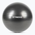 Gymball TREXO TXO-B4Z009-BK 75 cm μαύρο