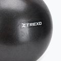 Μίνι μπάλα γυμναστικής TREXO TXO-B4Z011-BK 25 cm μαύρο 2