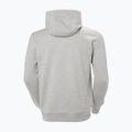 Ανδρικό φούτερ Helly Hansen HH Logo Hoodie grey/melange 2