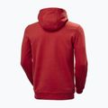 Ανδρικό φούτερ Helly Hansen HH Logo Hoodie red 2