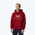 Ανδρικό Helly Hansen Arctic Ocean Hoodie μπορντό 30361_215