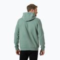 Ανδρικό φούτερ Helly Hansen HH Logo Hoodie cactus 2