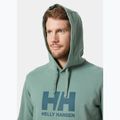 Ανδρικό φούτερ Helly Hansen HH Logo Hoodie cactus 3