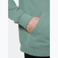 Ανδρικό φούτερ Helly Hansen HH Logo Hoodie cactus 4