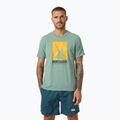 Helly Hansen HP Race Graphic cactus ανδρικό t-shirt