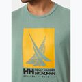 Helly Hansen HP Race Graphic cactus ανδρικό t-shirt 3