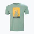 Helly Hansen HP Race Graphic cactus ανδρικό t-shirt 5